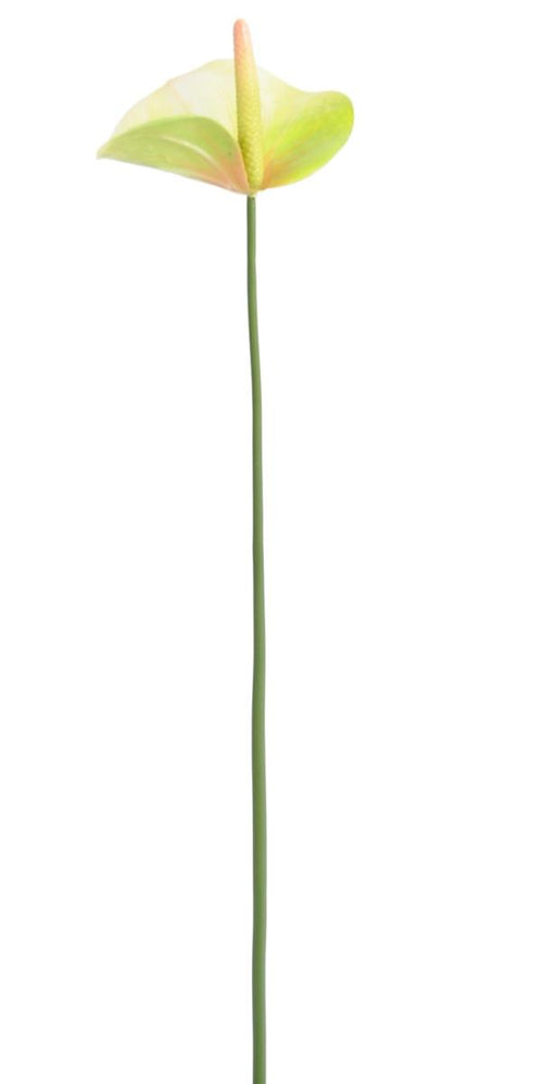 Kunstig Blomst Anthurium Grøn 60Cm Dekoration