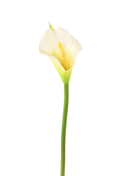 Kunstig Hvid Arumsblomst 44 Cm Til Indretning