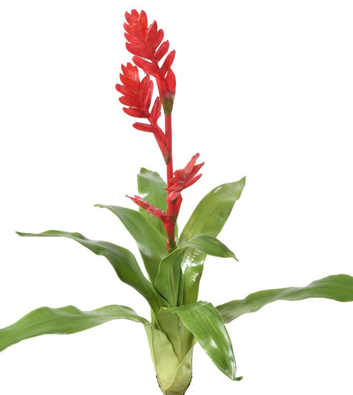 Kunstig Blomst Bromelia Rød 55Cm Dekoration