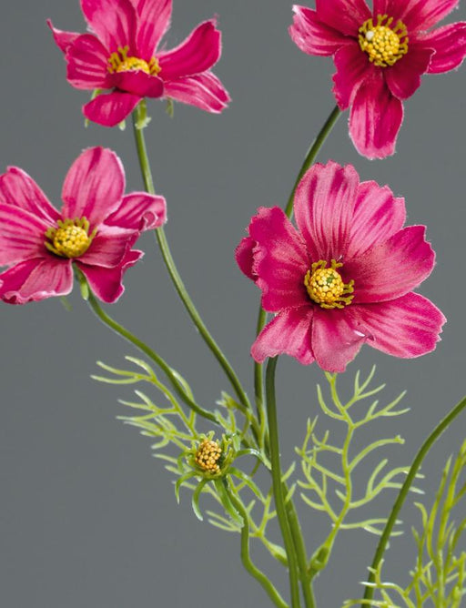 Kunstig Blomst Cosmos Fuchsia 67 Cm Blomsterdekoration