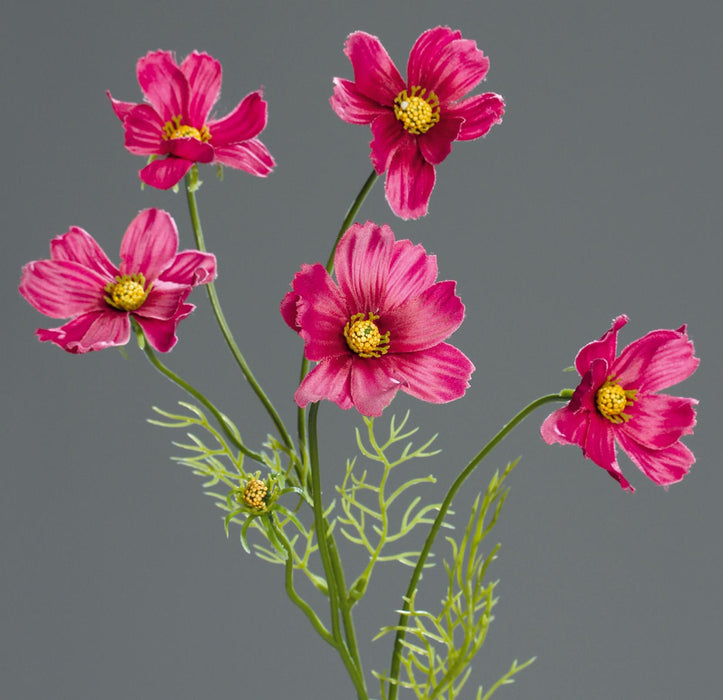 Kunstig Blomst Cosmos Fuchsia 67 Cm Blomsterdekoration