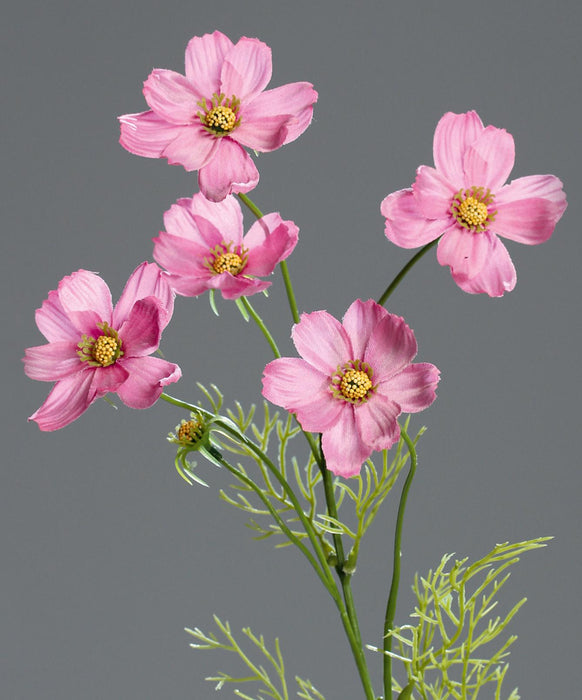 Kunstig Blomst Cosmos Pink 67 Cm Blomsterarrangement