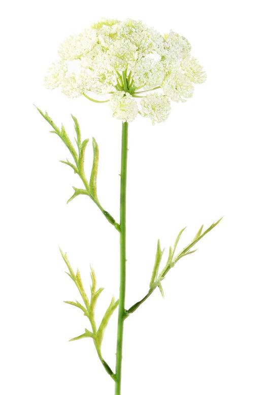 Kunstig Blomst Daucus Hvid 55Cm Til Dekoration