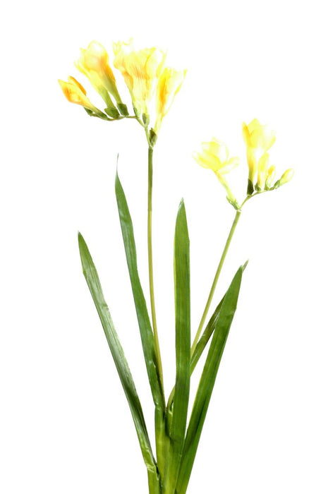 Kunstig Blomst Freesia Gul 60 Cm Til Buket