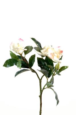 Kunstig Blomst Gardenia Creme Pink 65Cm