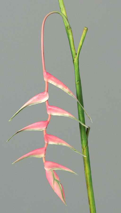 Kunstig Blomst Heliconia Pendula Pink 116Cm