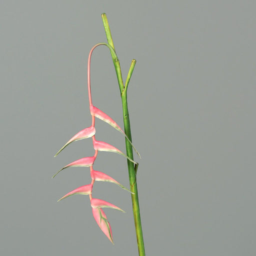 Kunstig Blomst Heliconia Pendula Pink 116Cm