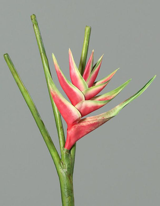 Kunstig Blomst Heliconia Pink 126Cm Smuk Dekor