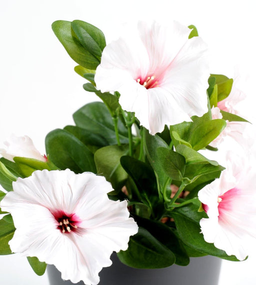 Kunstig Blomst Petunia 4 Blomster 25Cm Hvid Pink