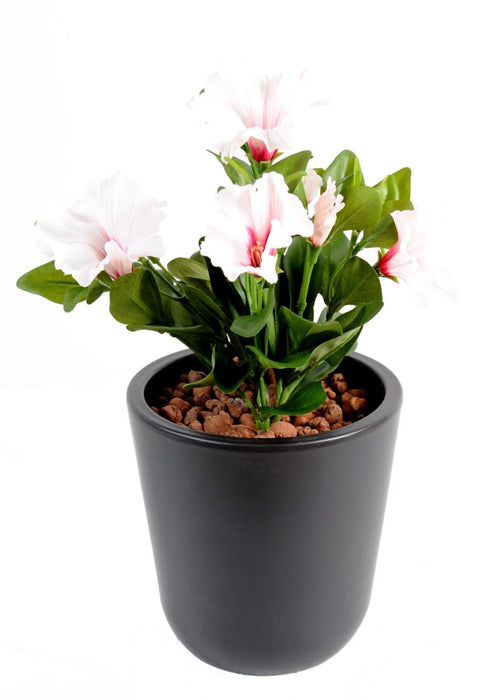 Kunstig Blomst Petunia 4 Blomster 25Cm Hvid Pink