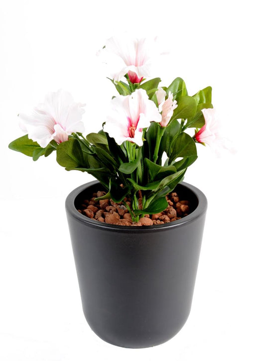 Kunstig Blomst Petunia 4 Blomster 25Cm Hvid Pink