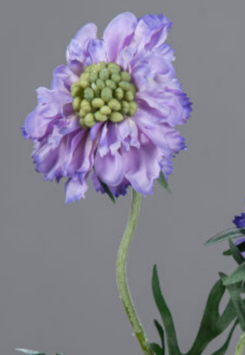Kunstig Blomst Scabiosa Lavendel 55 Cm Armed Stilk