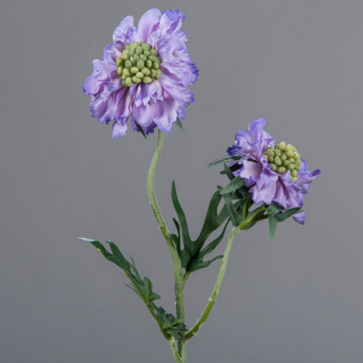 Kunstig Blomst Scabiosa Lavendel 55 Cm Armed Stilk