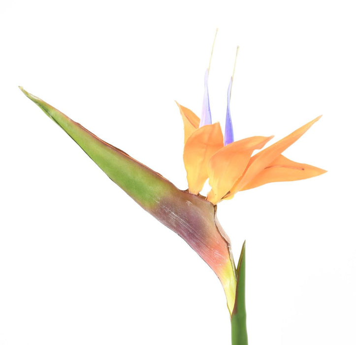 Kunstig Strelitzia Flower Orange 80Cm Dekoration