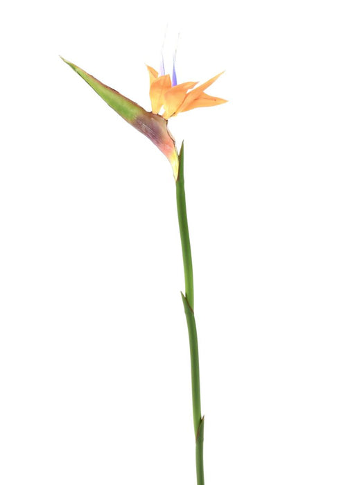 Kunstig Strelitzia Flower Orange 80Cm Dekoration