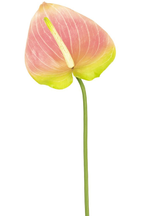 Kunstig Blomst Anthurium Grøn/Pink