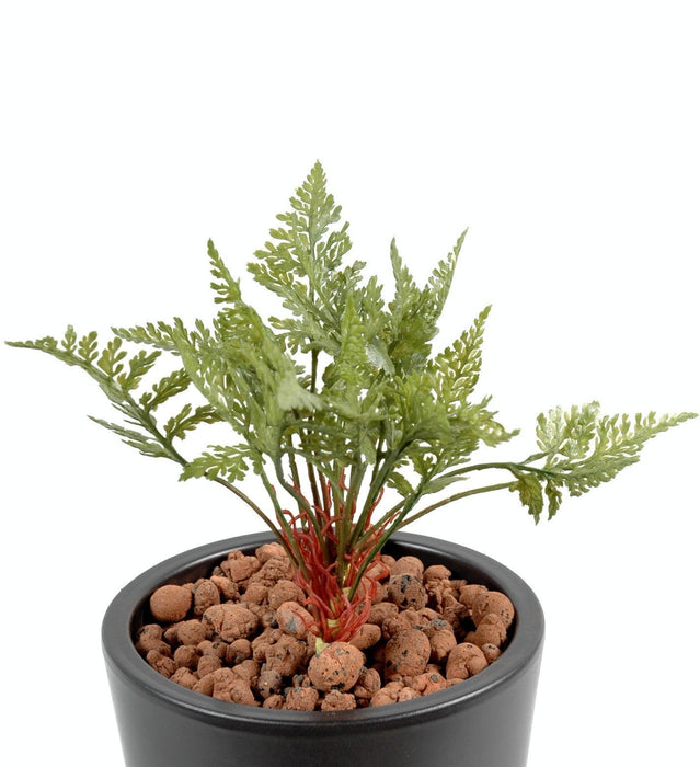 Kunstig Bregne På Pæl Til Udendørs Dekoration