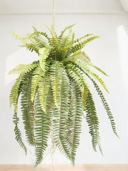 Bregne - Kunstig Faldende Plante