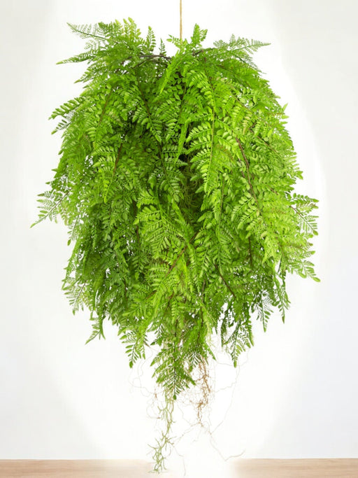 Bregne - Kunstig Faldende Plante