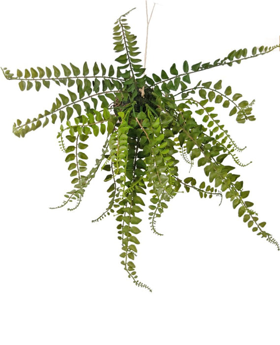 Bregne - Kunstig Faldende Plante