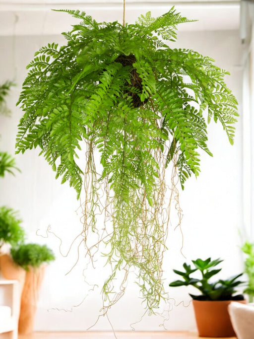 Bregne - Kunstig Faldende Plante