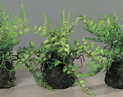 Kunstige Bregner Med Mos Base H.19Cm Grøn