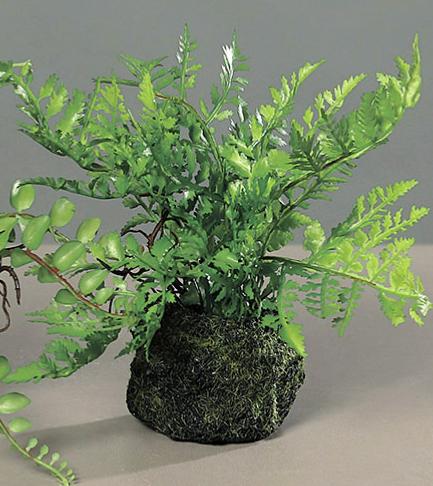 Kunstige Bregner Med Mos Base H.19Cm Grøn