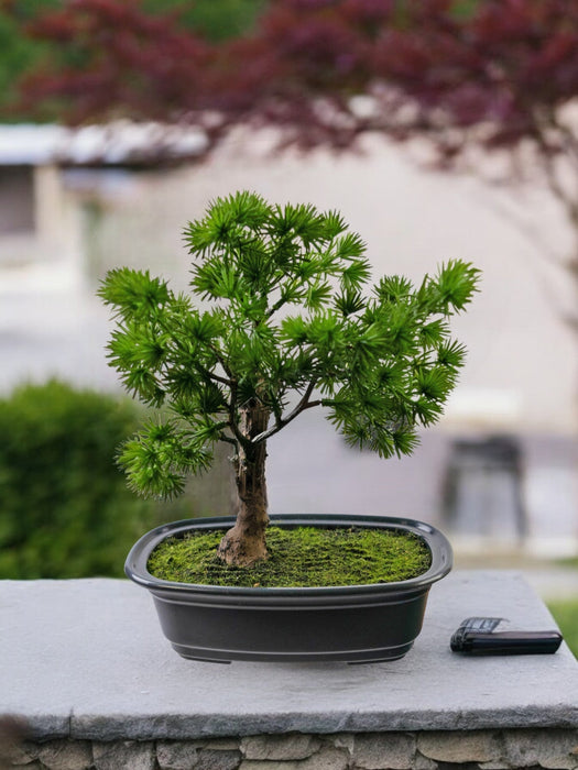Enebær - Kunstig Bonsai