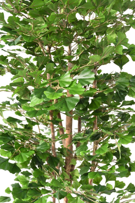 Kunstig Ginkgo Biloba 180 Cm Indendørs Plante