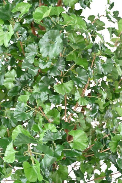 Kunstig Ginkgo Biloba H.290 Cm Indendørs Plante