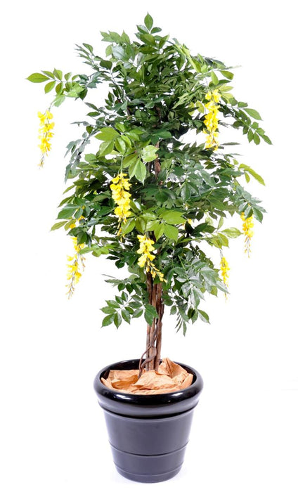 Kunstig Wisteria Gul 150 Cm Indendørs Plante