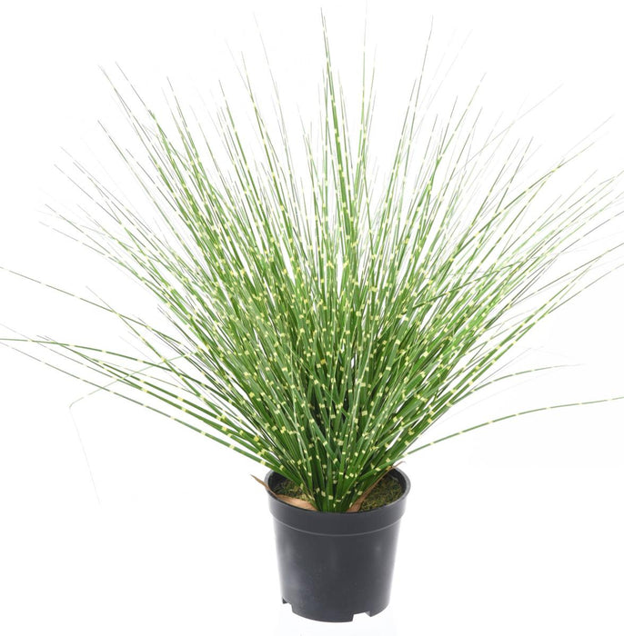 Kunstgræs Miscanthus Zebrinus 45Cm Grøn Gul