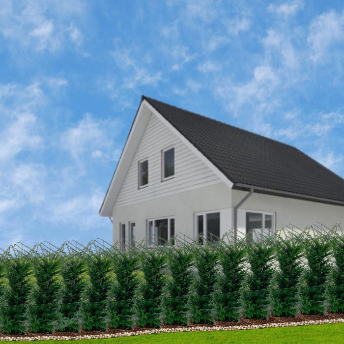 Stor Taks H125Cm Til 10 Lineære Meter Hæk 20X12L