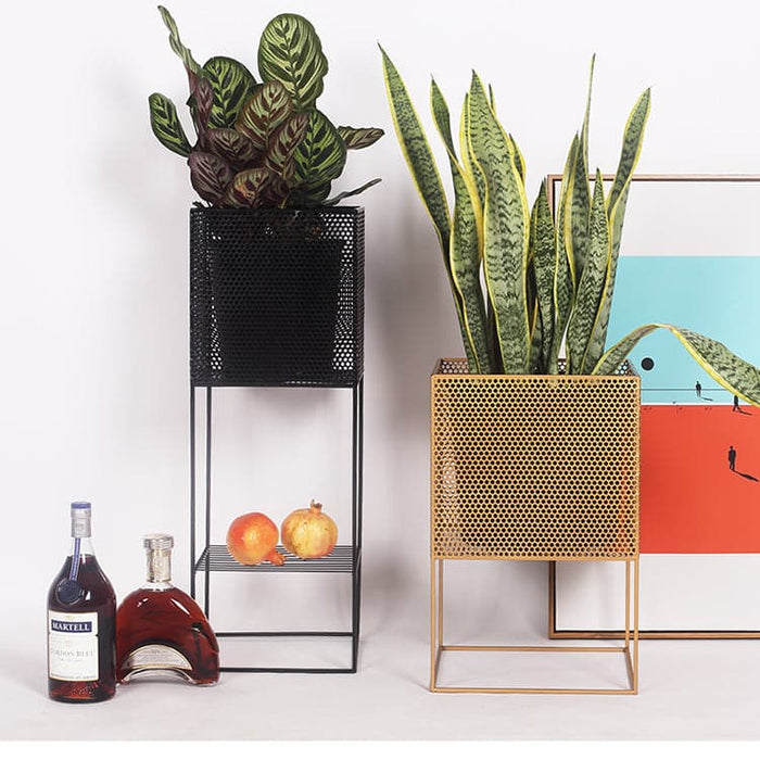 Stor Cache Pot På Stand Praca