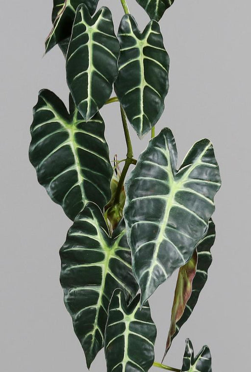Kunstig Alocasia-Guirlande 120 Cm Grøn