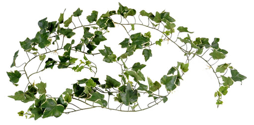 Kunstig Ivy Garland Uv 200Cm Til Udendørs
