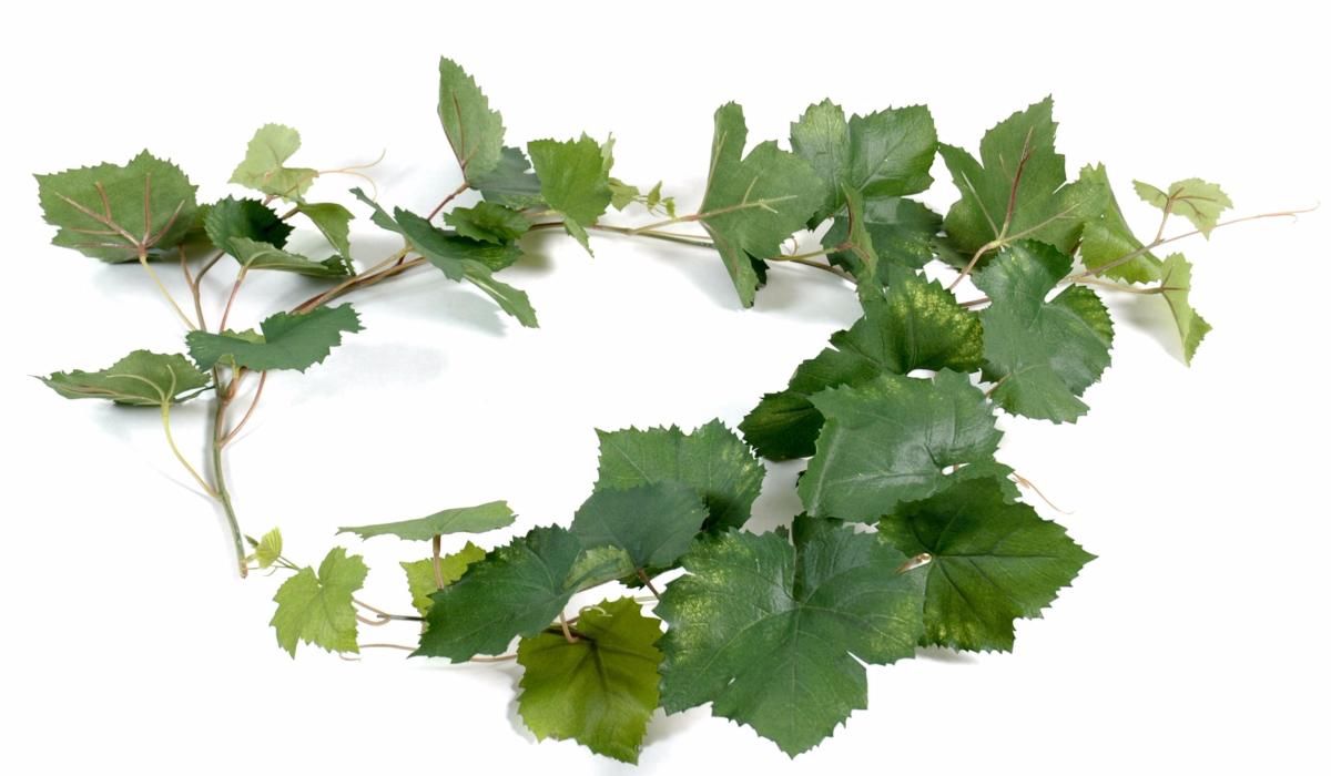 Kunstig Vine Garland 34 Blade 118Cm Grøn