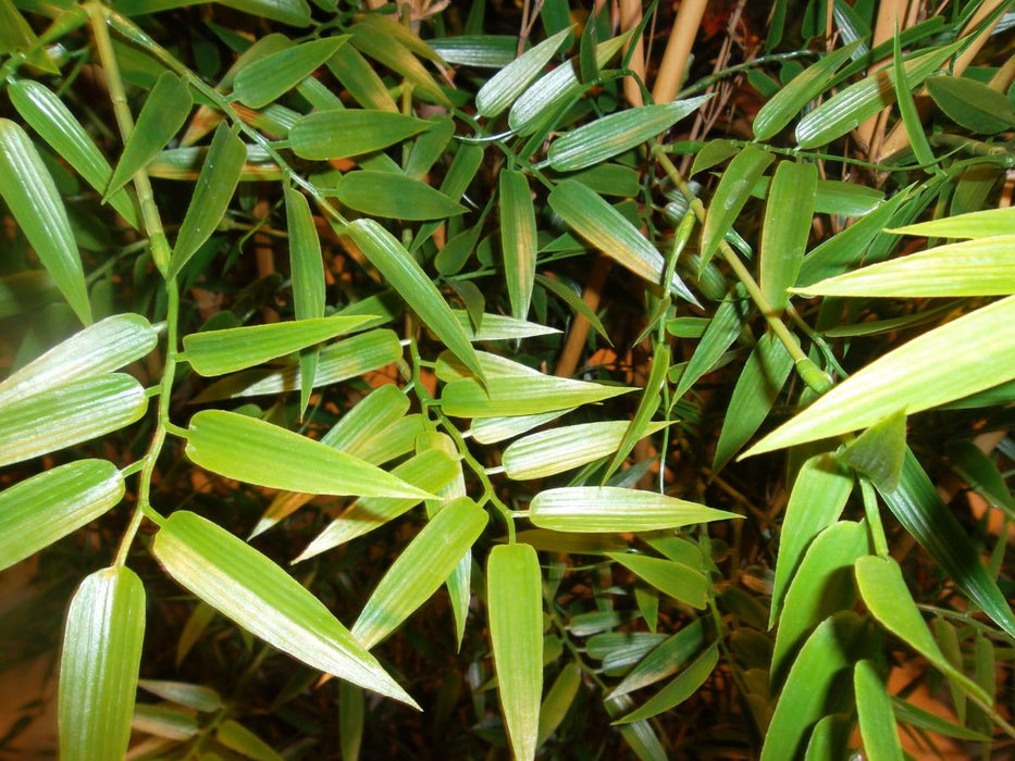 Kunstig Bambus Hæk 150 Cm Indendørs Udendørs