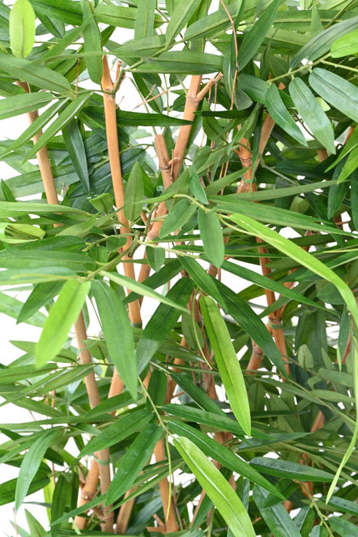 Uv Resistent Kunstig Bambus Hæk Til Udendørs