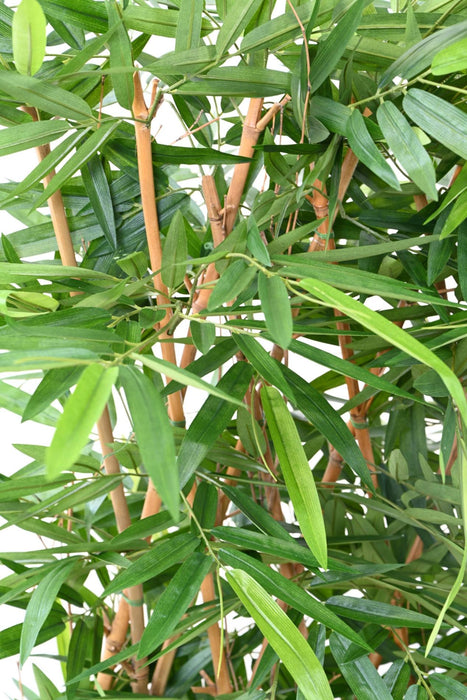 Uv Resistent Kunstig Bambus Hæk Til Terrasse