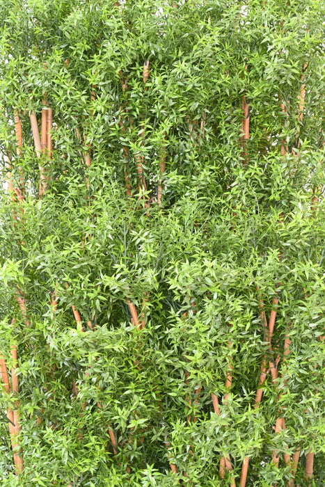 Kunstig Eukalyptushæk Udendørs H180Cm