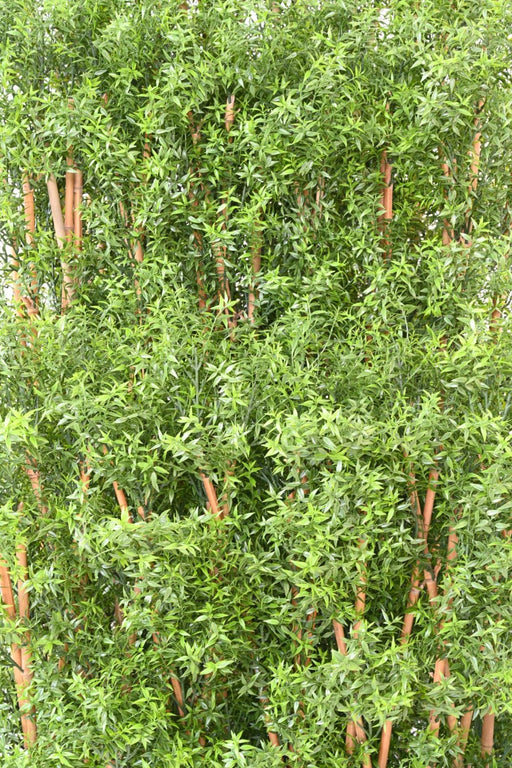 Kunstig Eukalyptushæk Udendørs H180Cm
