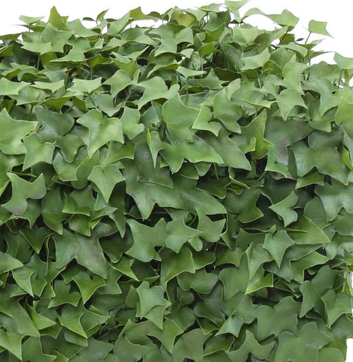 Kunstig Ivy Uv-Hæk 90X32Cm Til Terrasse