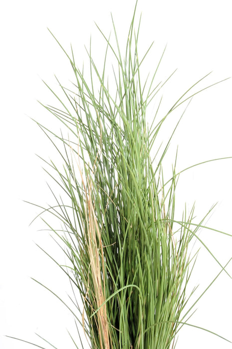 Kunstgræs Honninggræs Til Indendørs Og Udendørs Brug