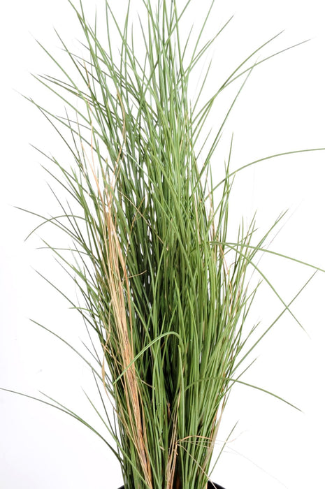 Kunstgræs Honninggræs Til Indendørs Og Udendørs Brug