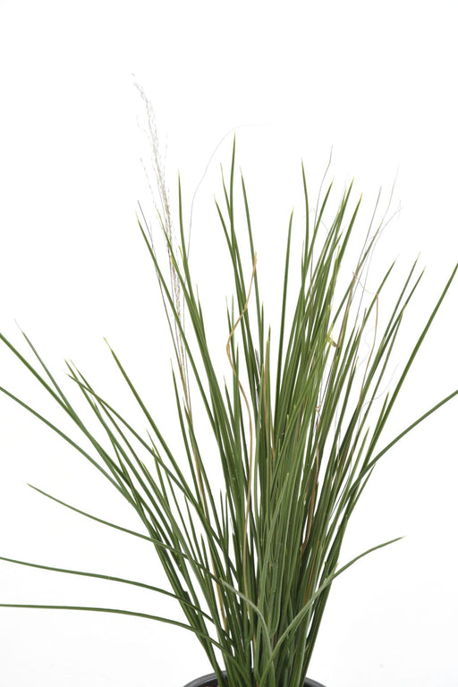 UV-Bestandigt Kunstigt Honninggræs 60 Cm