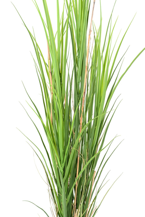 Uv-Resistent Kunstgræs H.165Cm Pot Medfølger