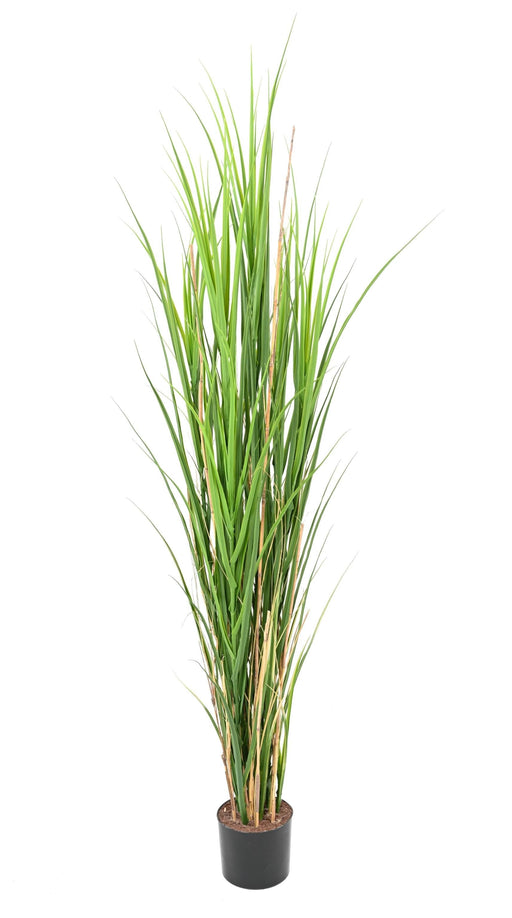 Uv-Resistent Kunstgræs H.165Cm Pot Medfølger