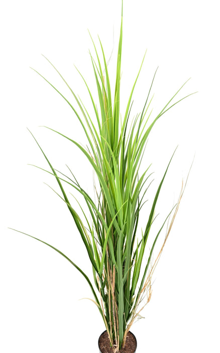 UV-Resistent Kunstgræs Til Indendørs Og Udendørs