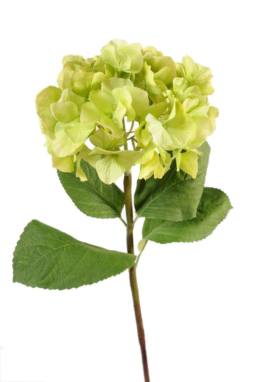 Grøn Kunstig Hortensia 80 Cm Til Blomsterdekoration